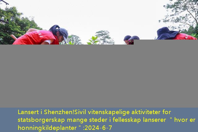 Lansert i Shenzhen!Sivil vitenskapelige aktiviteter for statsborgerskap mange steder i fellesskap lanserer ＂hvor er honningkildeplanter＂